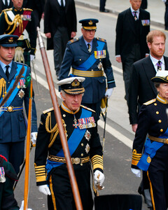 Похороны королевы Елизаветы II начались с процессии членов королевской семьи в Вестминстерском аббатстве