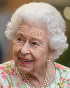 Семья идёт на помощь: члены четы возьмут на себя обязанности королевы