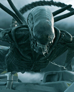 Появились новые подробности о сериале «Чужой»