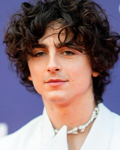 Тимоти Шаламе надел колье в виде костей от Vivienne Westwood на премьеру фильма «Целиком и полностью»