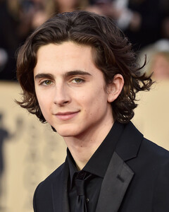 Тимоти Шаламе исполнит роль Боба Дилана