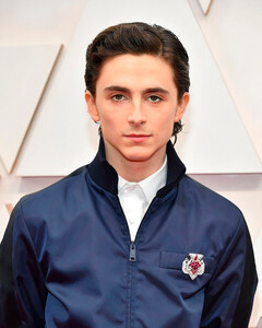 Тимоти Шаламе ищет любовь в закрытом приложении для знакомств «для евреев с высокими стандартами»