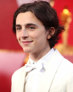 Тимоти Шаламе делится политическими мемами со своим участием