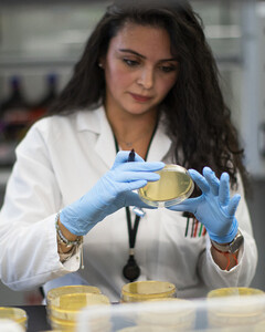 Твиндемия (союз covid-19 и гриппа) — новая угроза человечеству