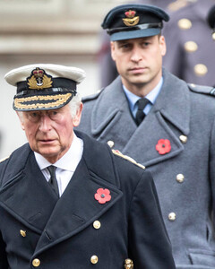 Не оправдал надежды: почему половина британцев хочет, чтобы принц Чарльз уступил королевский трон своему сыну Уильяму?