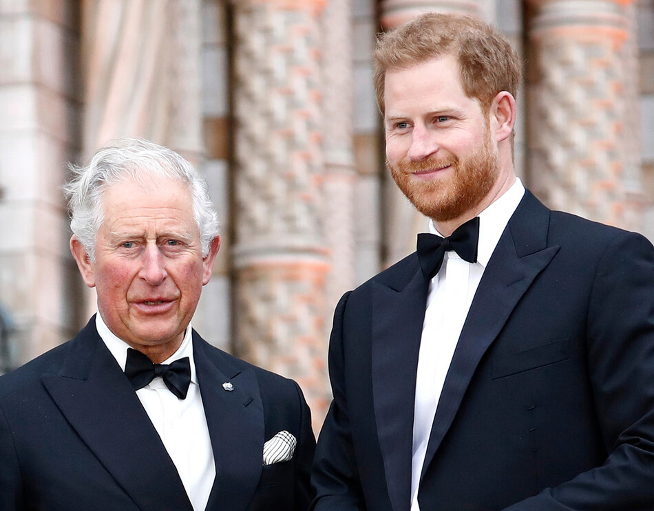 Кто помог принцу Чарльзу пережить кризисный период в отношениях с принцем Гарри