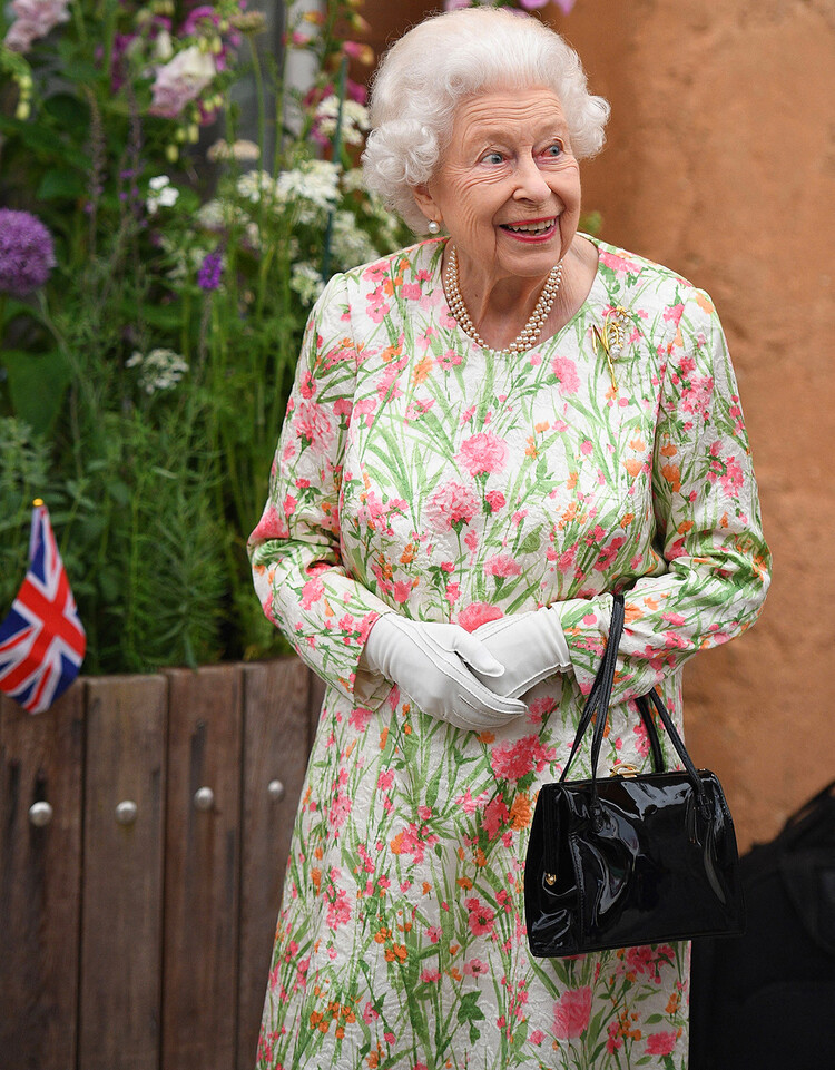 Королева Елизавета II Лилибет видеосвязь