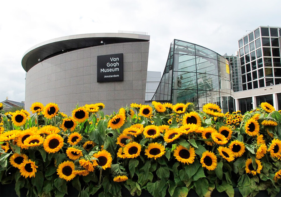 Музей Ван Гога в Амстердаме