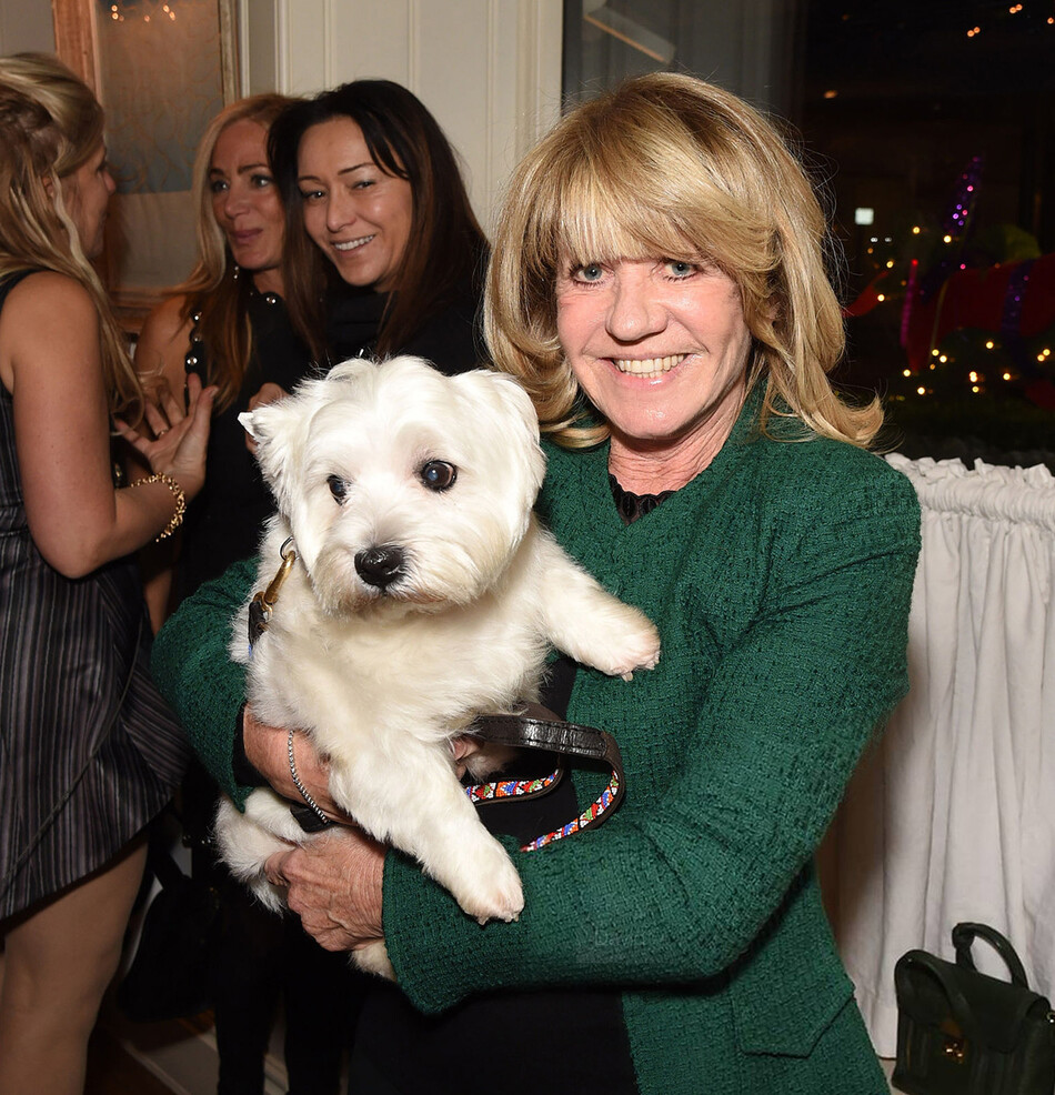 Ингрид Сьюард во время благотворительного вечера, 2015