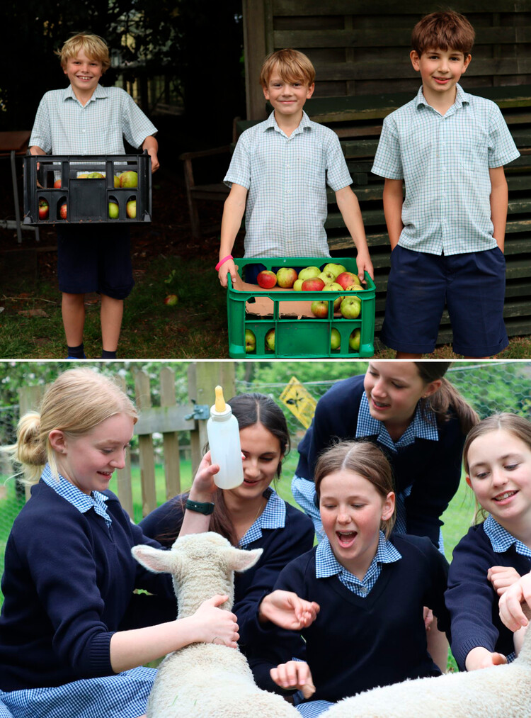 Частное учебное заведение Ламбрук в Беркшире имеет на территории школы органическую ферму с кружками по уходу за животными и развитие аграрных навыков, а также собственную пасеку
