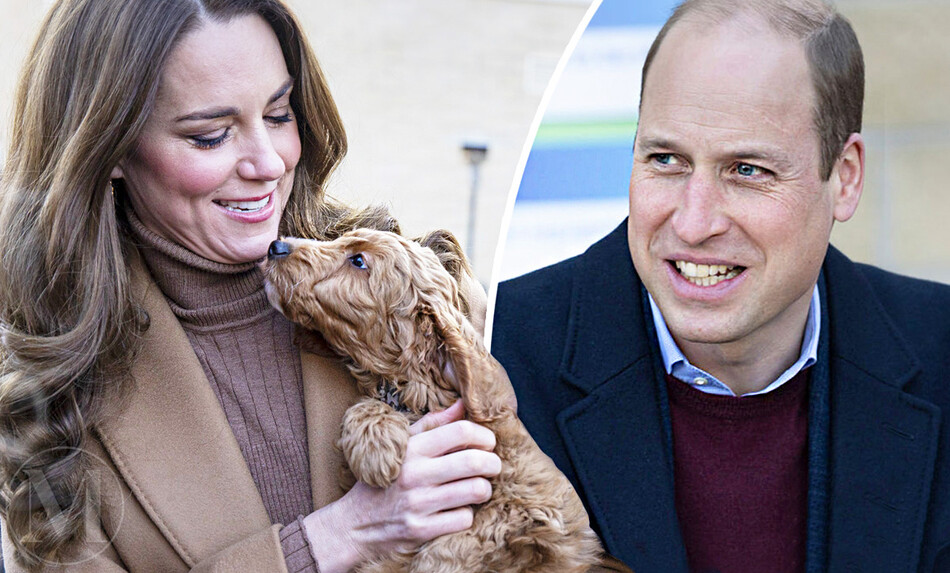 Новый друг: Кейт Миддлтон рассказала о четвероногом питомце их семьи