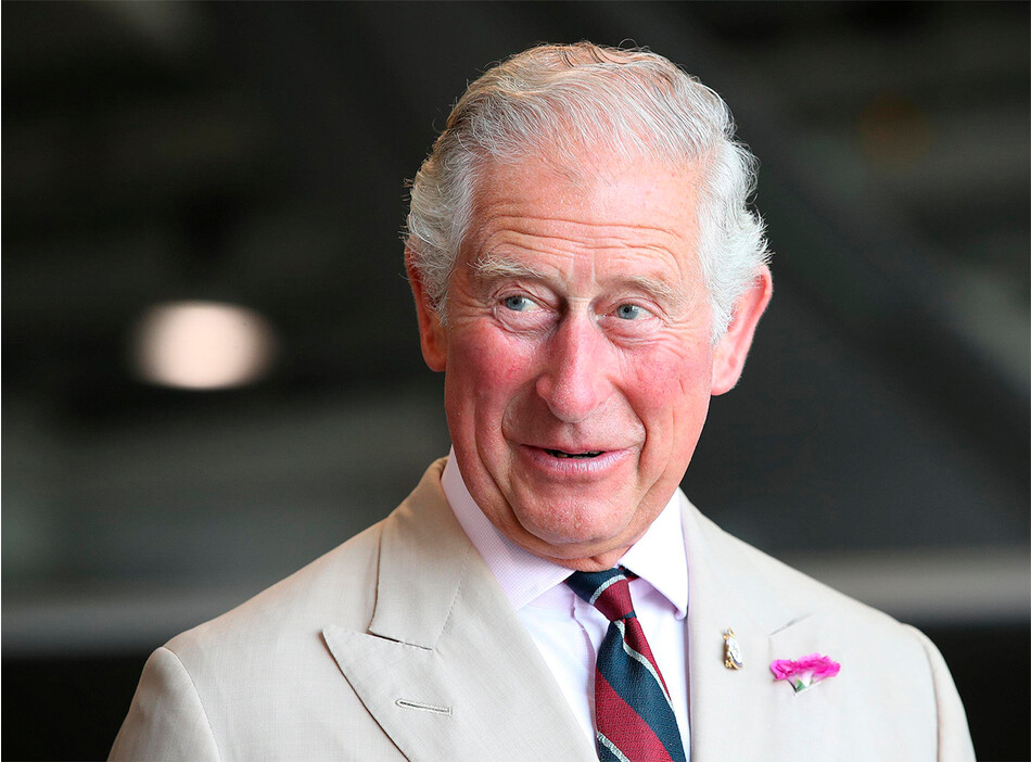 Почему принц Чарльз может лишить принцессу Анну и принца Эдварда королевских привилегий, когда станет королём?