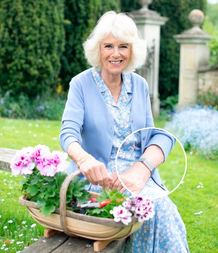 Тайное значение минималистичных украшений на фотографии Камиллы Паркер-Боулз для глянцевого издания Country Life, 2022