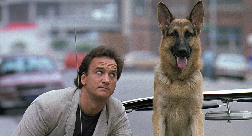 Джеймс Белуши К-9