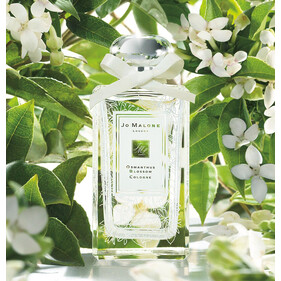 Пока цветет османтус