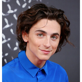 История успеха «самого красивого мальчика Голливуда»: Тимоти Шаламе и его творческий путь