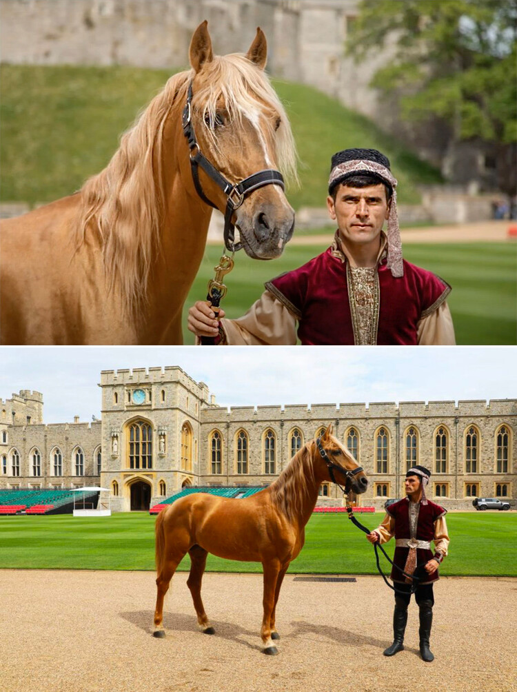 Карабахский скакун «Шохрат» — подарок президента Азербайджана Ильхамы Алиева королеве Елизавете II в честь Платинового юбилея монарха, Виндзорский замой, 18 мая 2022 года, Англия