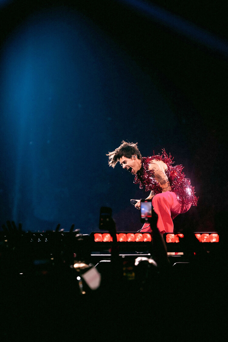 Гарри Стайлс лучшие образы за 2021 год