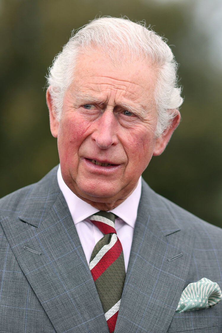 Prince_Charles_Beatrice_Eugenie_starshiye_chleny_semi_01_Mainstyle.jpg