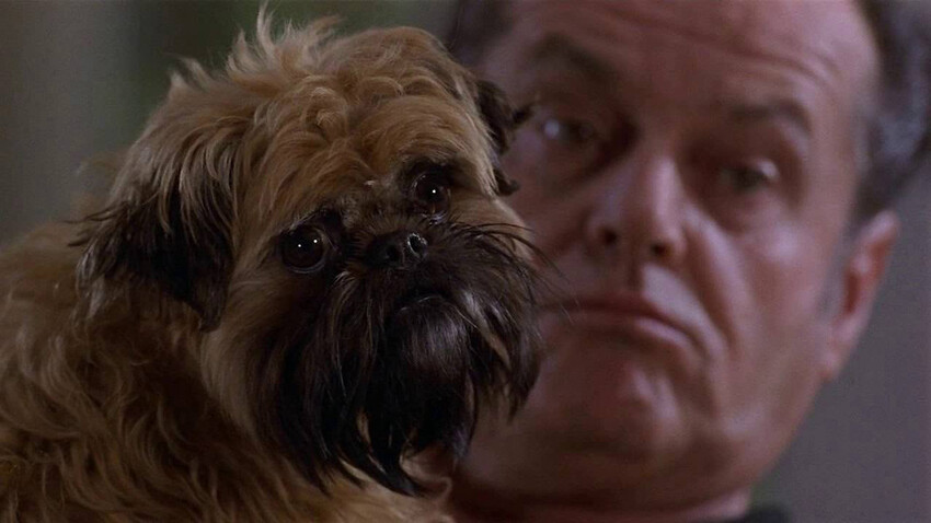 Лучше не бывает 1997