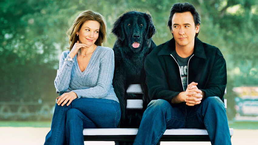 Любовь к собакам обязательна 2005