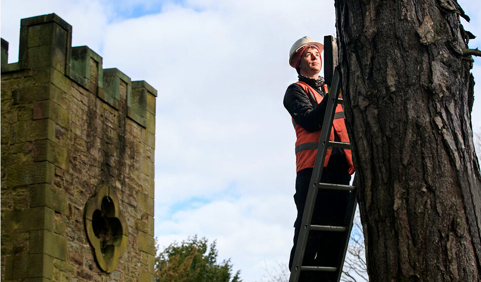 Эколог Роберт Белл устанавливает ящик для летучих мышей на территории замка