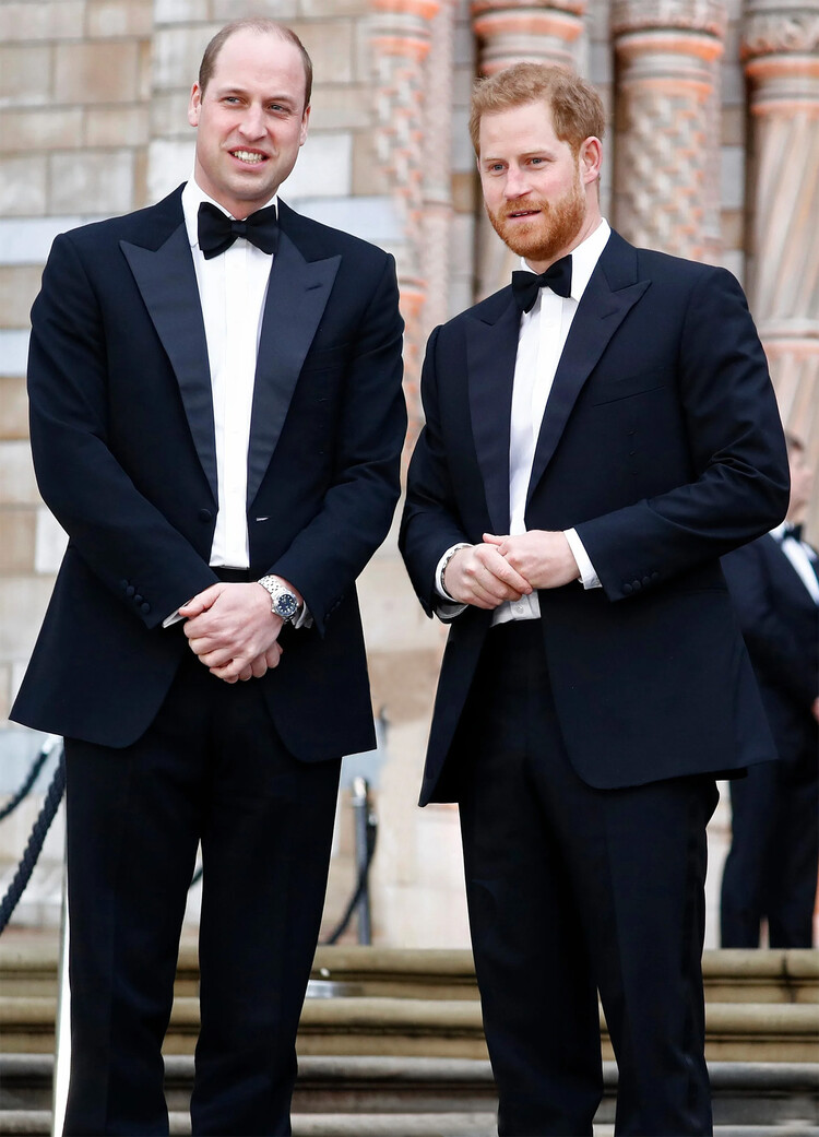 Всё ради тебя, бабушка! Принцы Гарри и Уильям впервые за два года созвонились по FaceTime