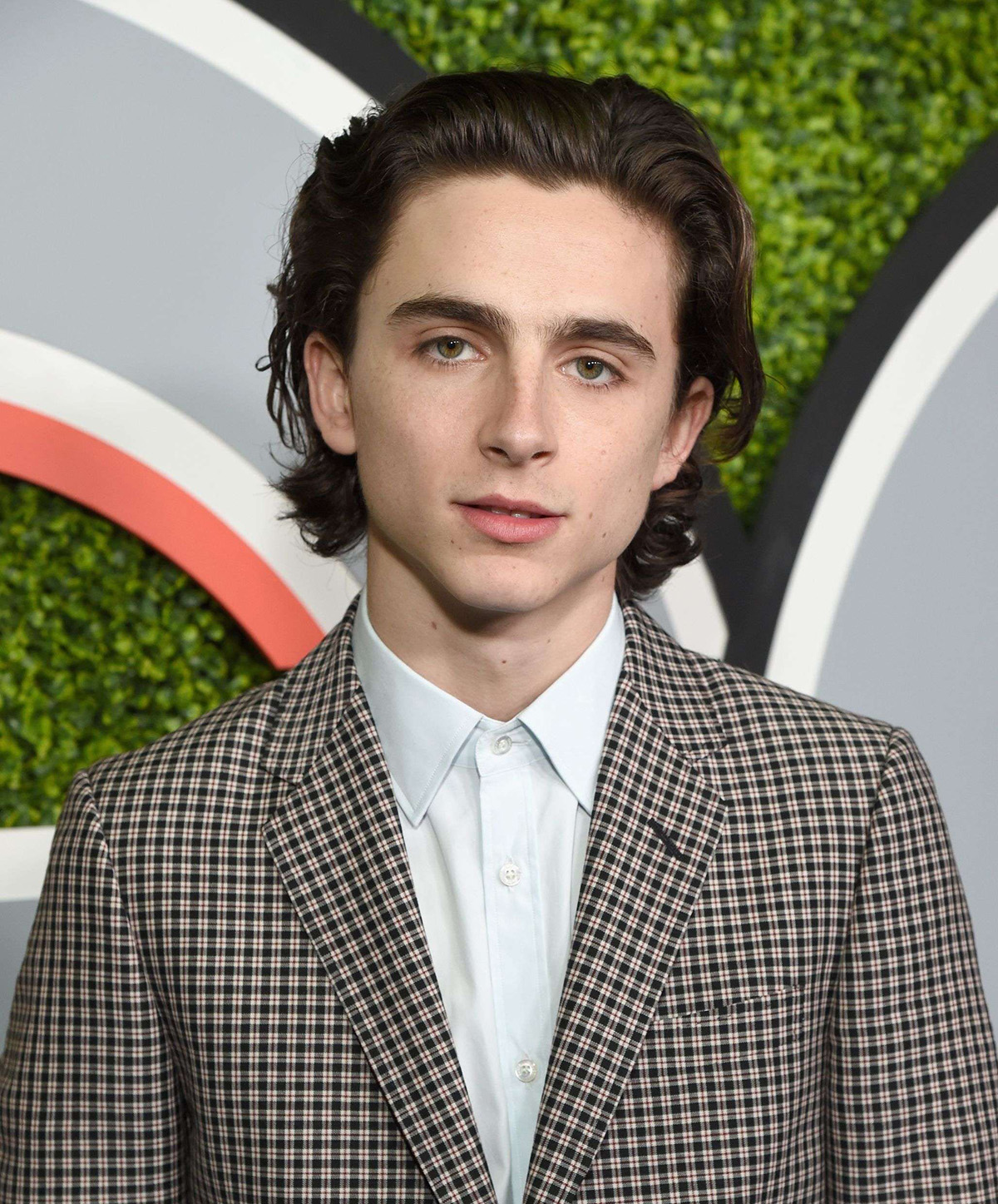 Тимоти Шаламе сыграет молодого Вилли Вонку