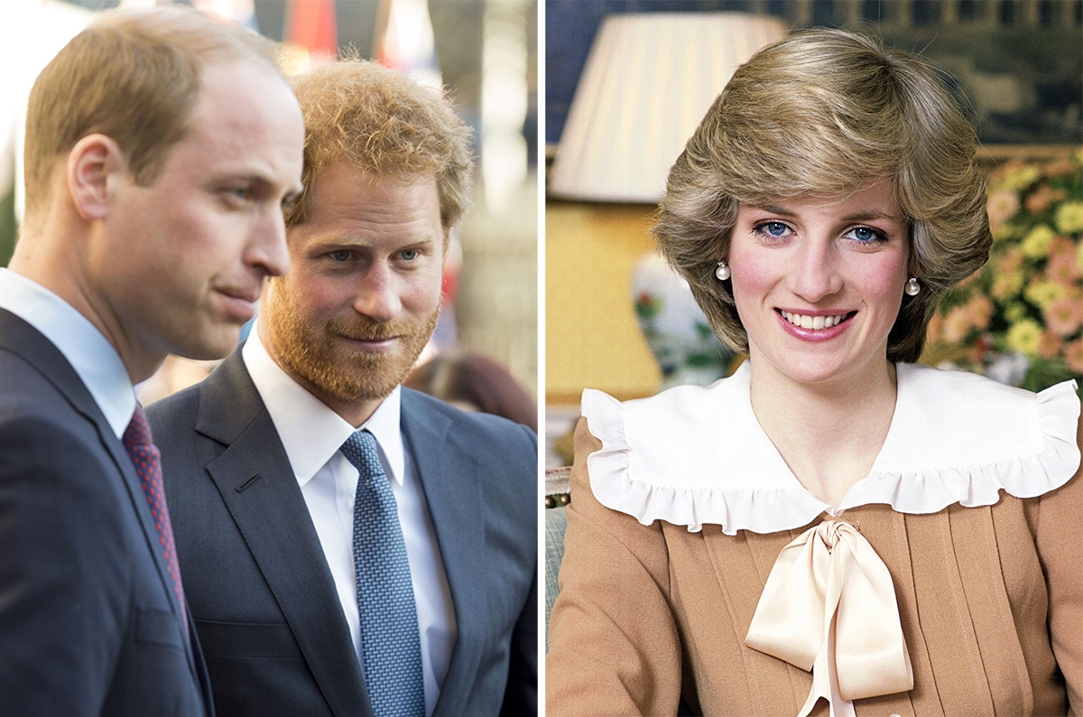 Принцы Уильяма и Гарри об интервью принцессы Дианы