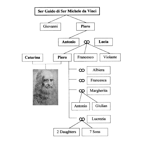Леонардо да Винчи древо