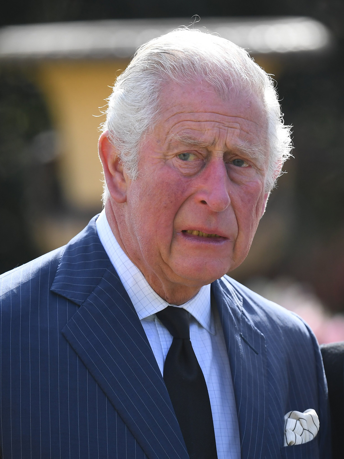 Принца Чарльза допрашивали по обвинению в убийстве